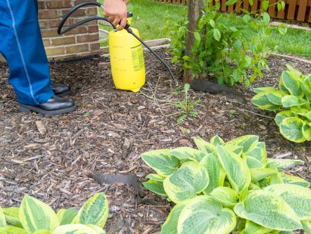 Fertilization & Weed Control Plan for Midlands Lawns (Month-by-Month)