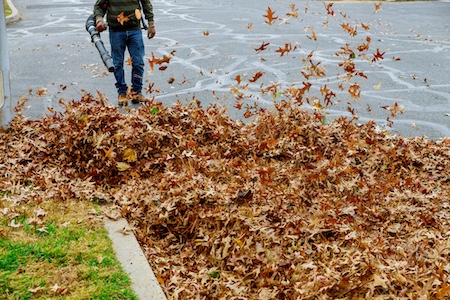 Seasonal Guide: When to Switch from Mowing to Leaf Cleanup